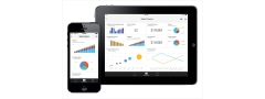 Mobile BI
